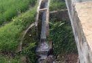 Sungai Menghitam dan Berbau, Limbah Pabrik Tahu Jadi Sorotan